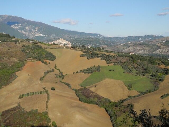 Campi coltivati e uliveti sulle colline intorno ad Altino