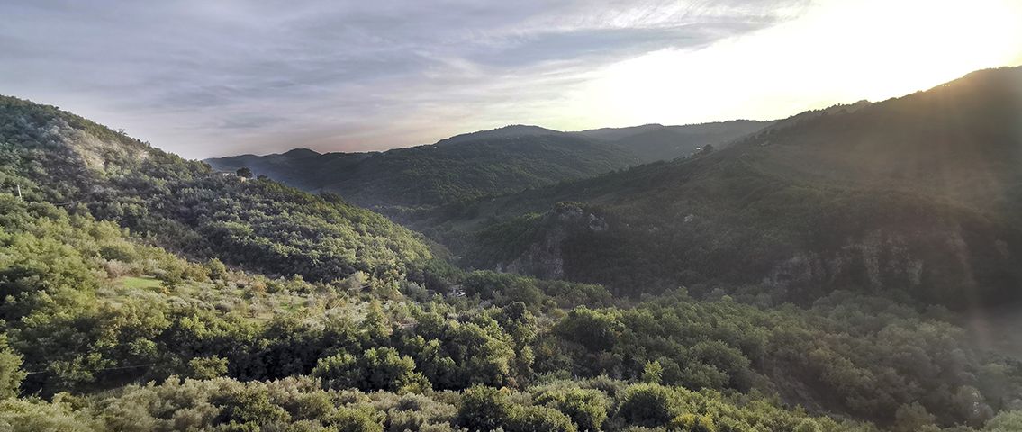 Colline coperte di bosco nella luce radente del tardo pomeriggio