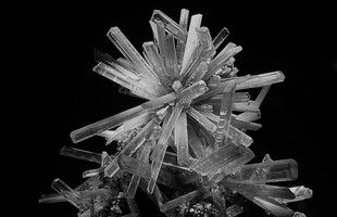 Cristalli di selenite a punta di lancia