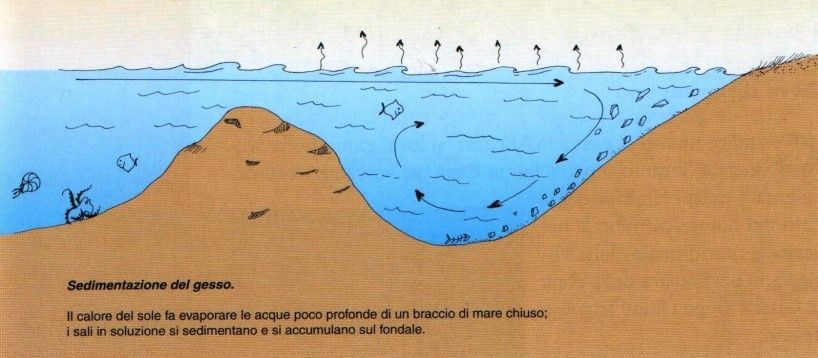 Schema della sedimentazione del gesso in un braccio di mare