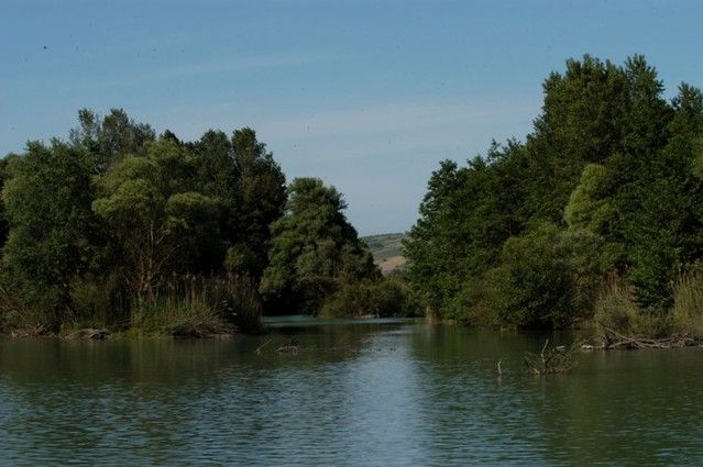 Lo specchio d'acqua dell'Oasi di Serranella circondato dalla vegetazione ripariale